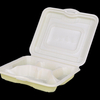Одноразовая биоразлагаемая коробка для еды PLA Lunch Box-wallis